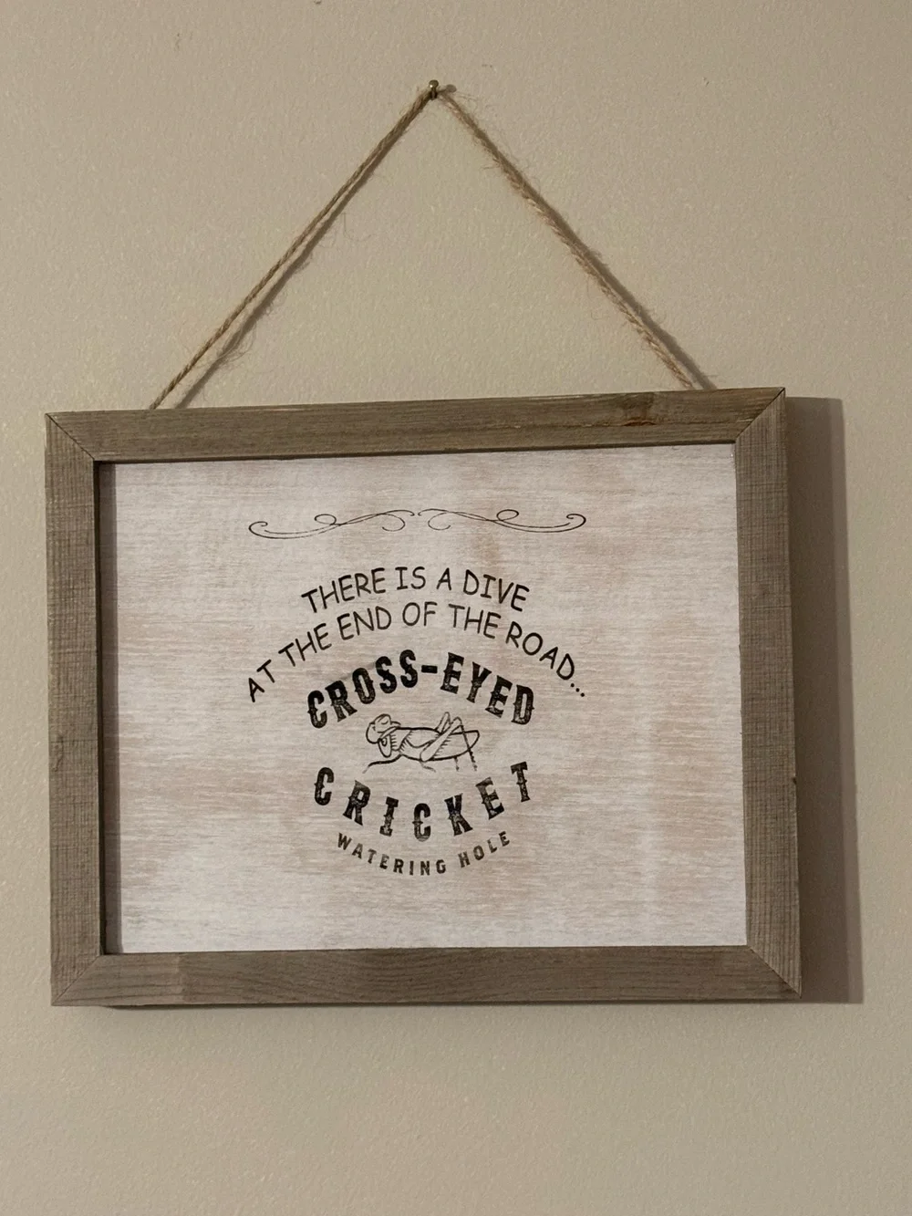 Cross-Eyed Cricket Watering Hole  Rustic White and Brown Framed Hanging Sign NEW